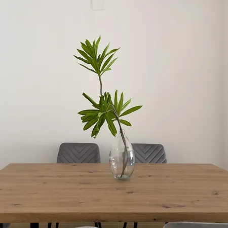 Tayp San Marcos 102 *