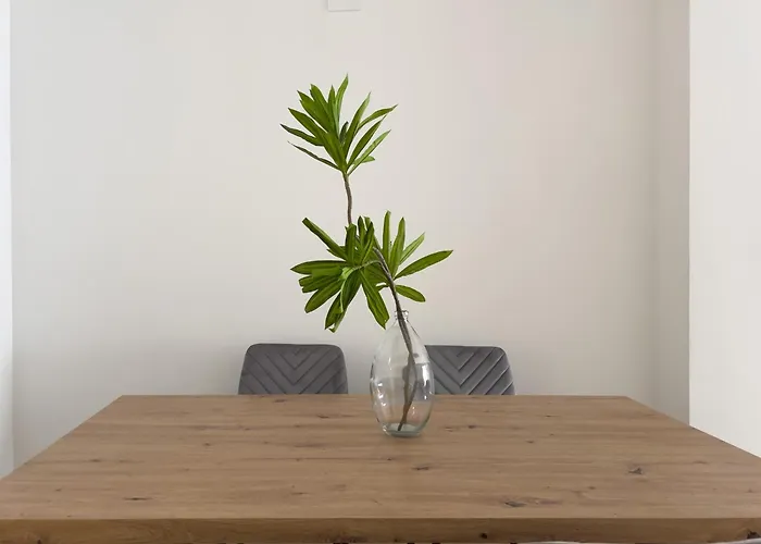 Tayp San Marcos 102 *